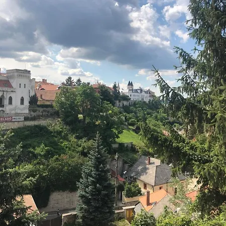 Wood Deluxe Belvaros * Veszprém