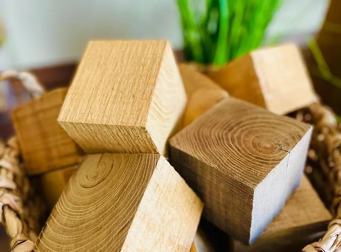 Lägenhet Wood Deluxe Belvaros *
